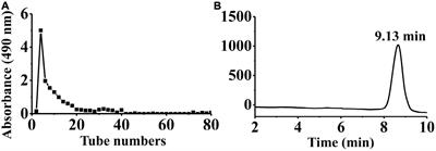 Structural characterization and anti-inflammatory activity of a novel polysaccharide PKP2-1 from Polygonatum kingianum